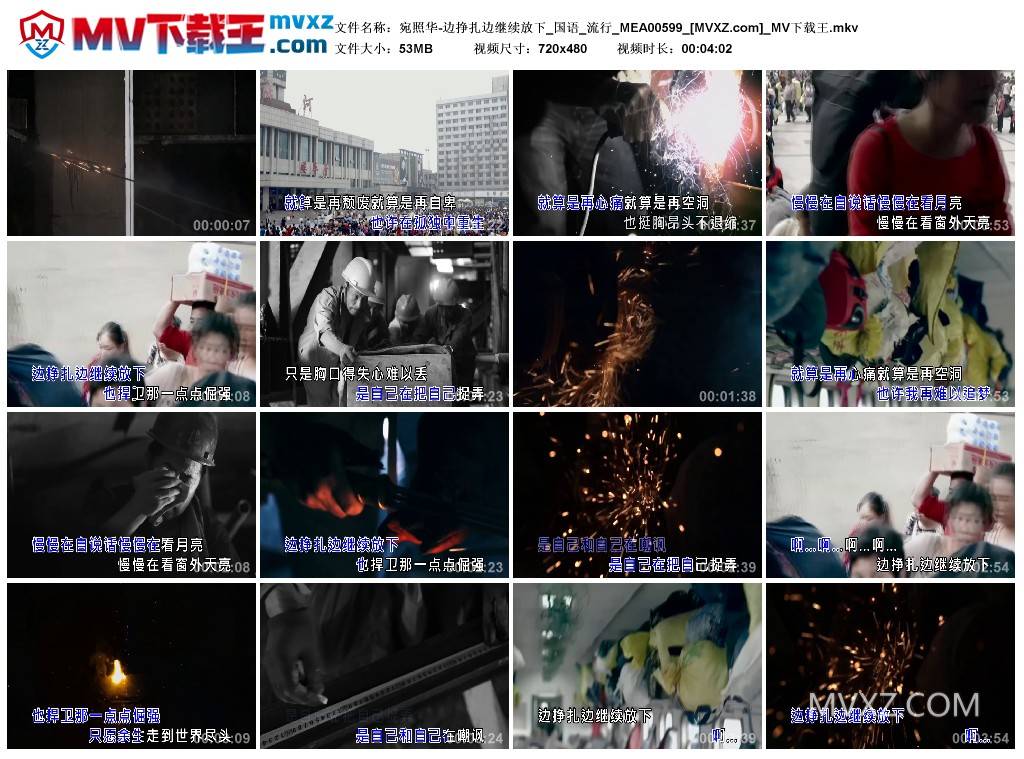 宛照华-边挣扎边继续放下_国语_流行_MEA00599